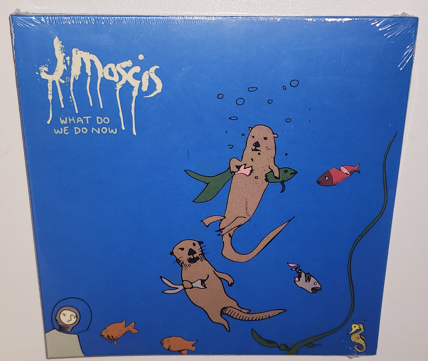 J Mascis – What Do We Do Now (2024) (CD)
