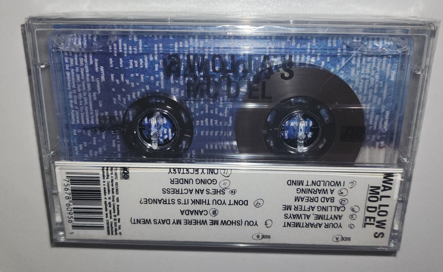 Wallows – Model (2024) (Limited Edition Cassette Tape)