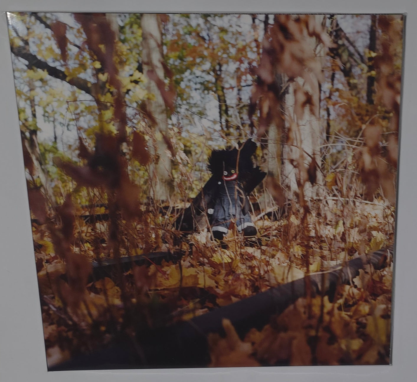 Billy Woods - Golliwog (2025) (Vinyl LP)