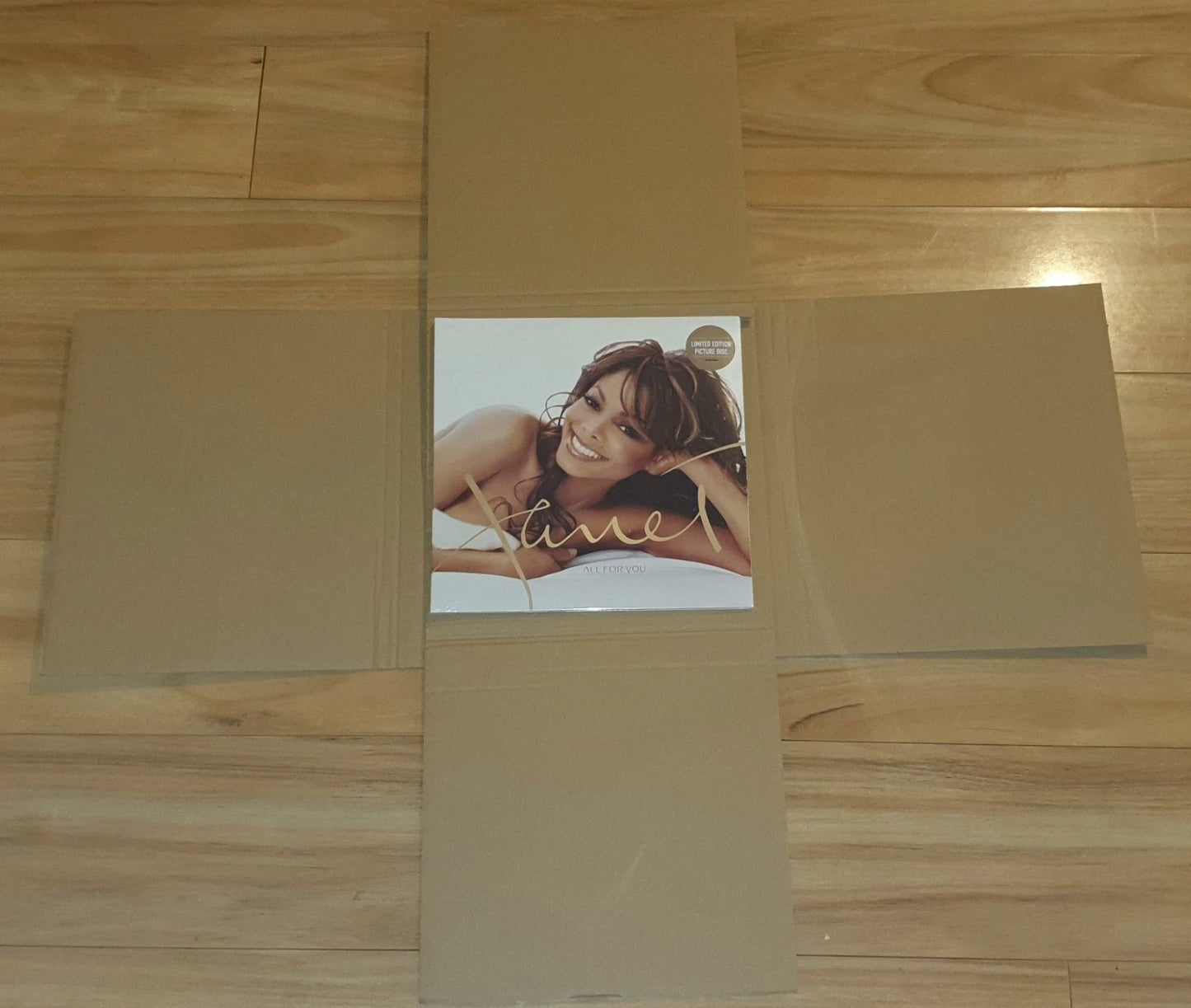 Vinyl LP 6-Panel Twist Mailer