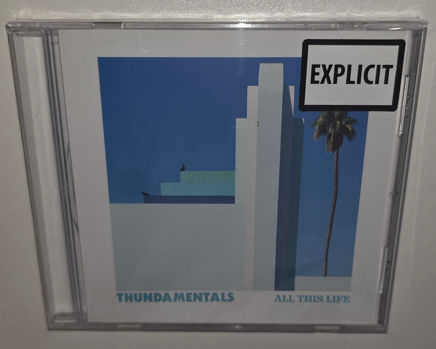 Thundamentals – All This Life (2022) (CD)