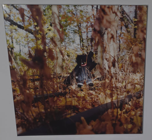 Billy Woods -  Golliwog (2025) (Vinyl LP)