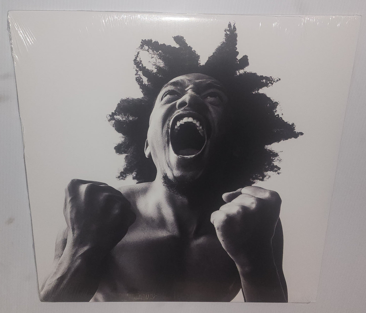 Bobby Sessions – Manifest (2022) (Vinyl LP)