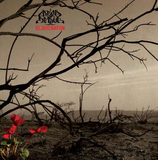 Brad Strut Archives Discography 7CD Pack + Sticker