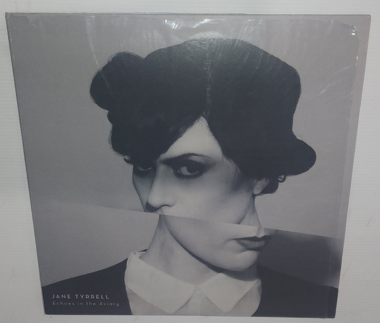 Jane Tyrrell – Echoes In The Aviary