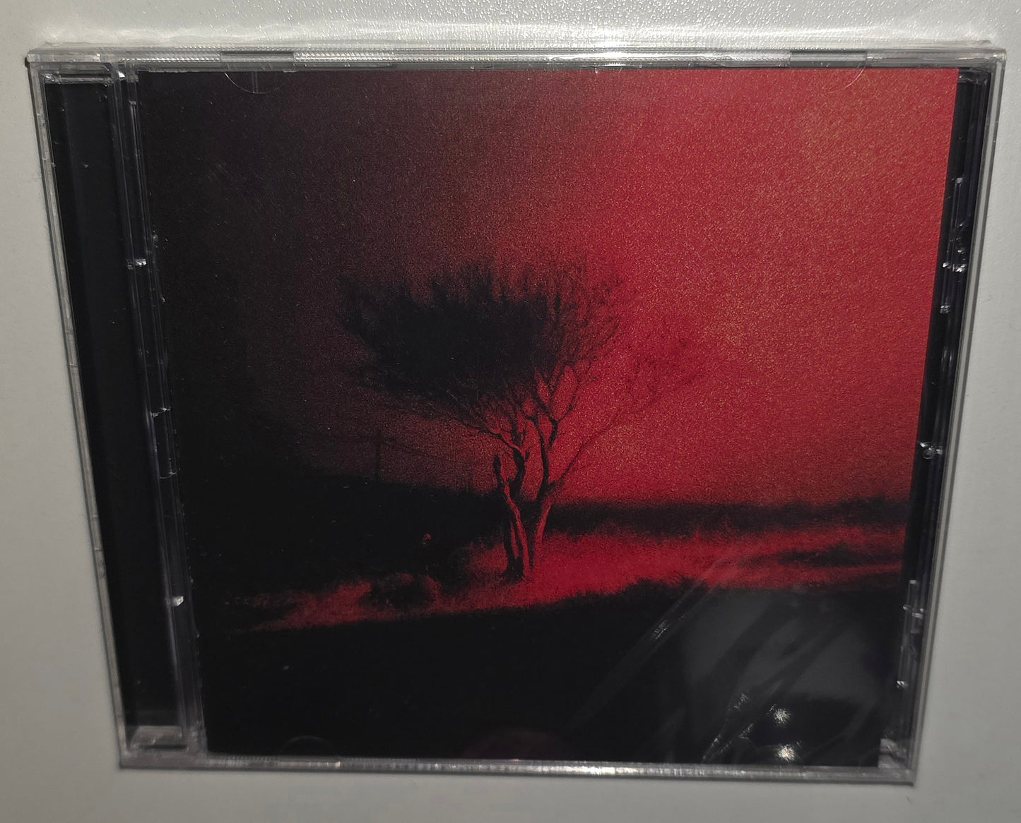 Joji - Piss In The Wind (2026) (CD)