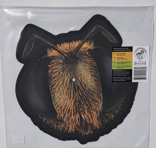 King Gizzard & The Lizard Wizard - Big Fig Wasp (2026 RSD) (Limited Edition Shaped Picture Disc)