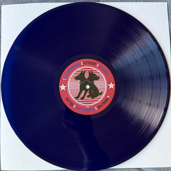 PARTYOF2 – Amerika's Next Top Party! (2026) (Limited Edition Blue Colour Vinyl LP with Signed Insert)